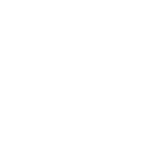 Co-conception de la solution technique.